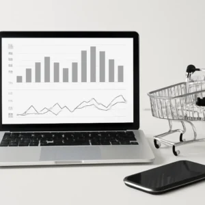 Ecommerce Performance Marketing